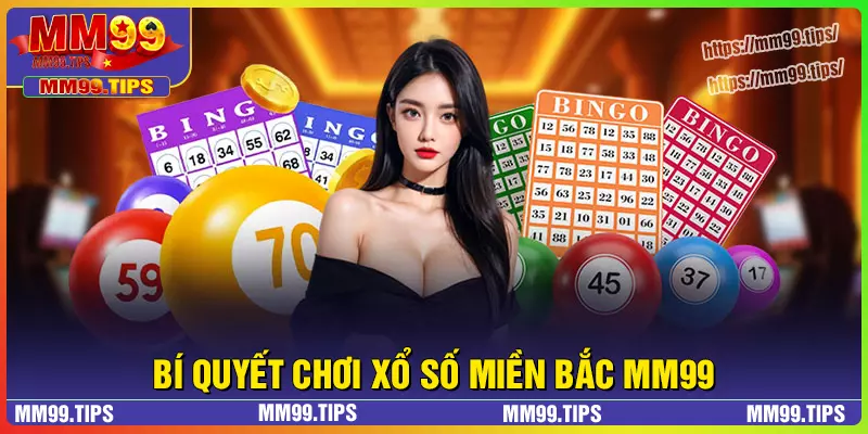 Bí quyết chơi xổ số miền Bắc hiệu quả cho lô thủ