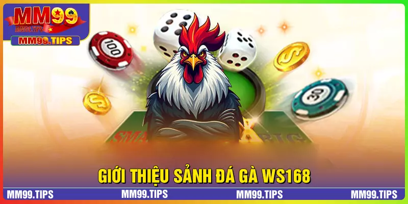 Khái quát cơ bản về sảnh chơi WS168 đá gà