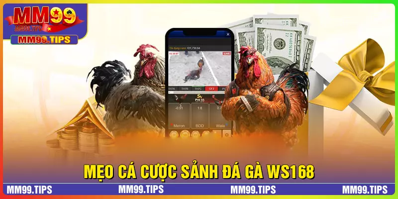 Mẹo cá cược WS168 đá gà dễ thắng lớn